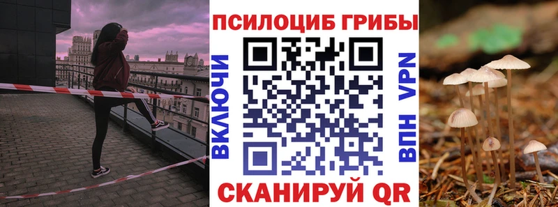 купить наркотики цена  Сураж  Псилоцибиновые грибы мицелий 